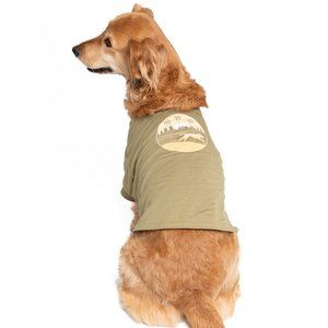 Fetch The Sun Dog Shirt | Avocado, Running Organic Cotton, with Snaps